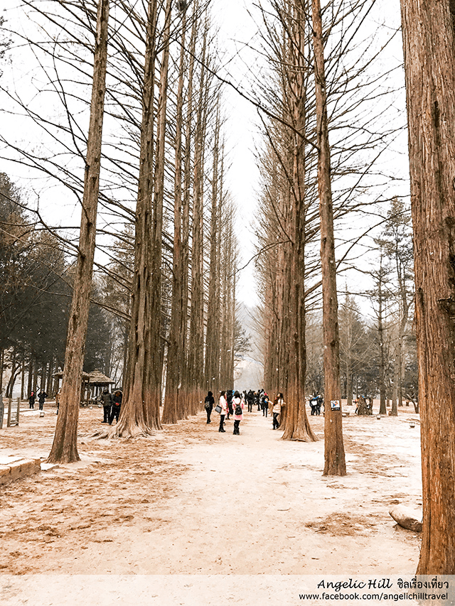 Erlongshan Longzhu ski resort
