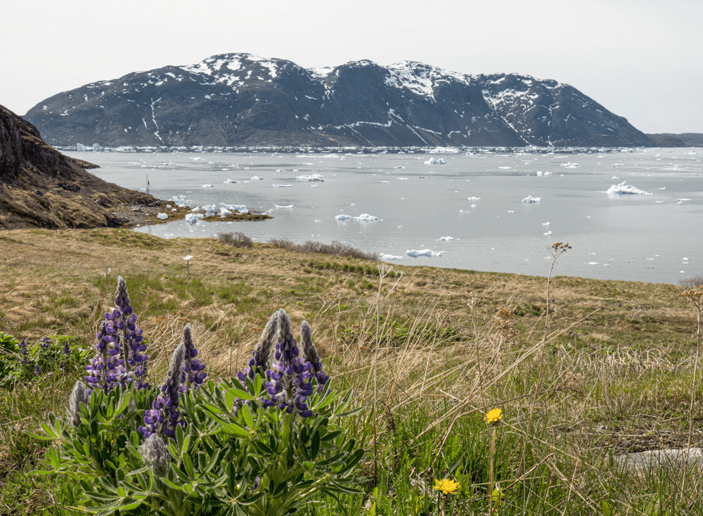 Narsaq ski resort